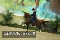 24BUCK_08078 thumbnail