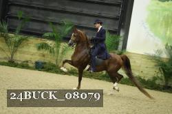 24BUCK_08079 thumbnail