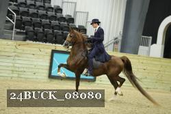 24BUCK_08080 thumbnail