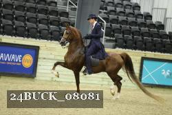 24BUCK_08081 thumbnail