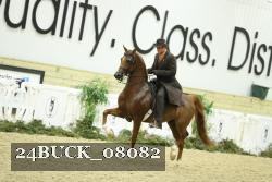 24BUCK_08082 thumbnail