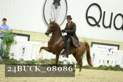 24BUCK_08086 thumbnail