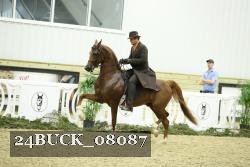 24BUCK_08087 thumbnail
