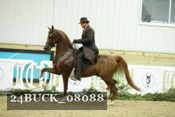 24BUCK_08088 thumbnail