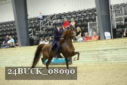 24BUCK_08090 thumbnail