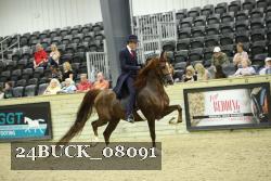 24BUCK_08091 thumbnail