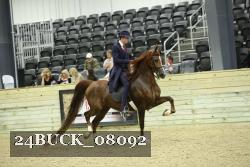 24BUCK_08092 thumbnail