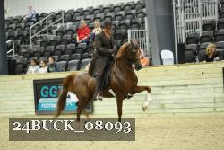 24BUCK_08093 thumbnail