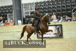 24BUCK_08094 thumbnail