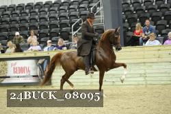 24BUCK_08095 thumbnail