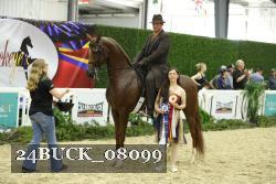 24BUCK_08099 thumbnail