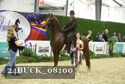 24BUCK_08100 thumbnail