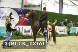 24BUCK_08101 thumbnail