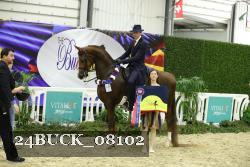 24BUCK_08102 thumbnail