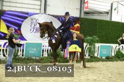24BUCK_08105 thumbnail