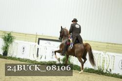 24BUCK_08106 thumbnail