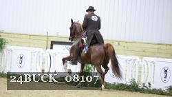 24BUCK_08107 thumbnail