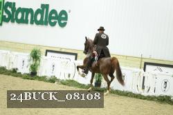 24BUCK_08108 thumbnail
