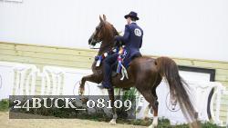 24BUCK_08109 thumbnail
