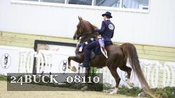 24BUCK_08110 thumbnail