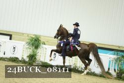 24BUCK_08111 thumbnail