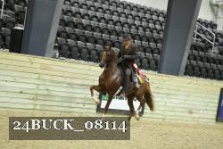 24BUCK_08114 thumbnail