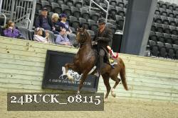 24BUCK_08115 thumbnail
