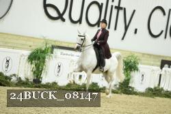 24BUCK_08147 thumbnail