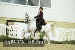 24BUCK_08149 thumbnail