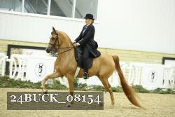 24BUCK_08154 thumbnail