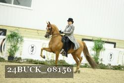24BUCK_08156 thumbnail