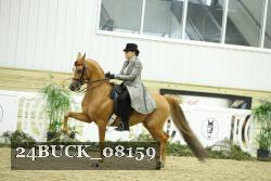24BUCK_08159 thumbnail