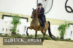 24BUCK_08161 thumbnail
