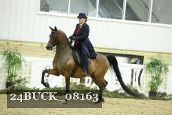 24BUCK_08163 thumbnail