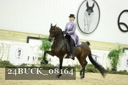 24BUCK_08164 thumbnail