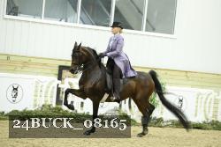 24BUCK_08165 thumbnail