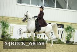 24BUCK_08168 thumbnail