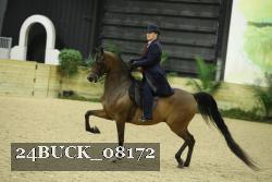 24BUCK_08172 thumbnail