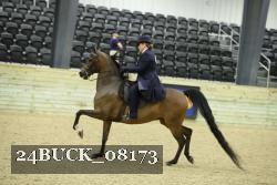 24BUCK_08173 thumbnail