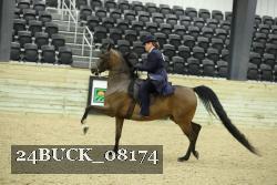 24BUCK_08174 thumbnail