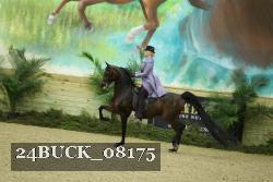 24BUCK_08175 thumbnail