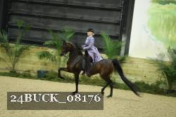24BUCK_08176 thumbnail