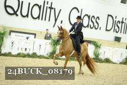 24BUCK_08179 thumbnail