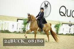 24BUCK_08180 thumbnail