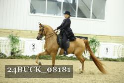 24BUCK_08181 thumbnail