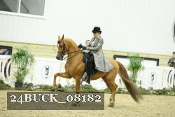 24BUCK_08182 thumbnail