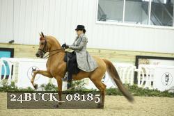24BUCK_08185 thumbnail