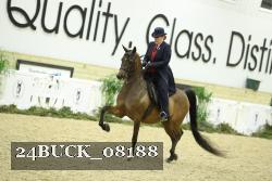 24BUCK_08188 thumbnail