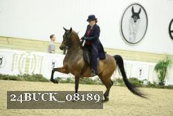 24BUCK_08189 thumbnail