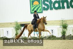 24BUCK_08195 thumbnail